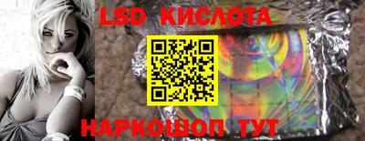 сатива Кандалакша