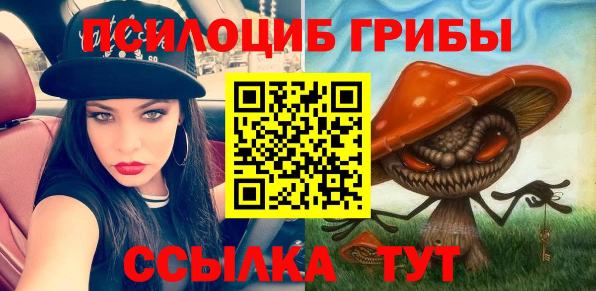Галлюциногенные грибы GOLDEN TEACHER Лесной