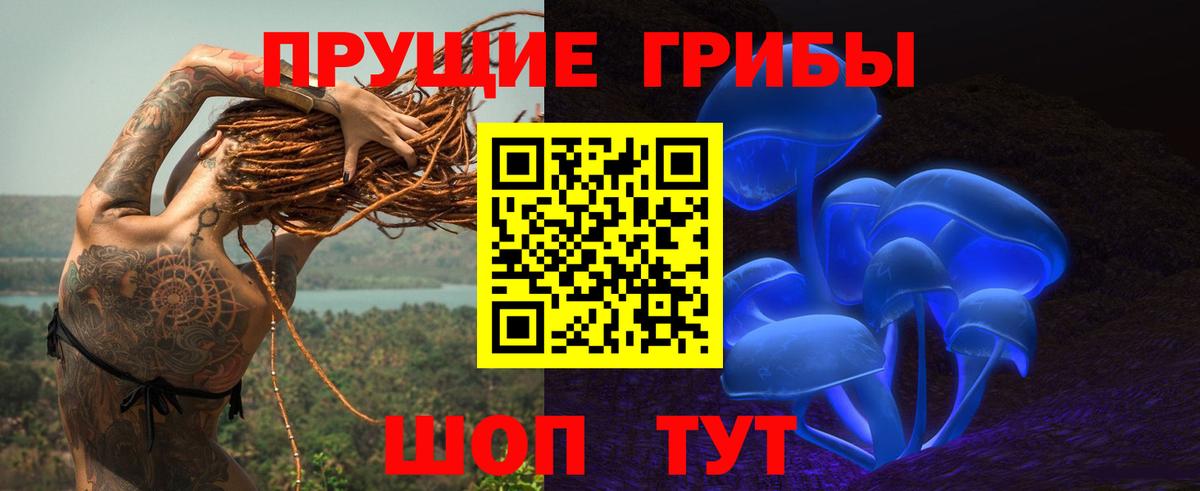 Лесной  Псилоцибиновые грибы Psilocybine cubensis  закладка  Вход с VPN 